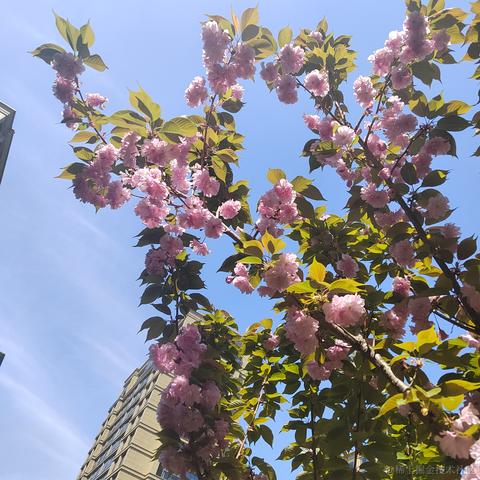 Asen于2023-04-08 11:01发布的图片