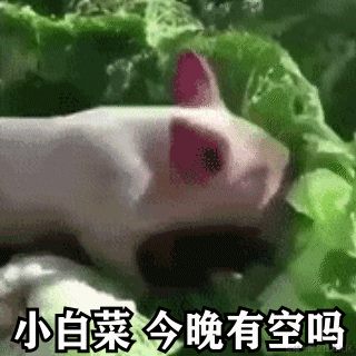 十年as鹏于2020-08-25 09:03发布的图片