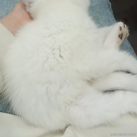 ntses于2023-04-29 10:54发布的图片