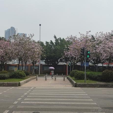 吃什么于2023-06-27 10:52发布的图片