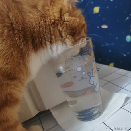 柒弎于2022-11-17 20:07发布的图片