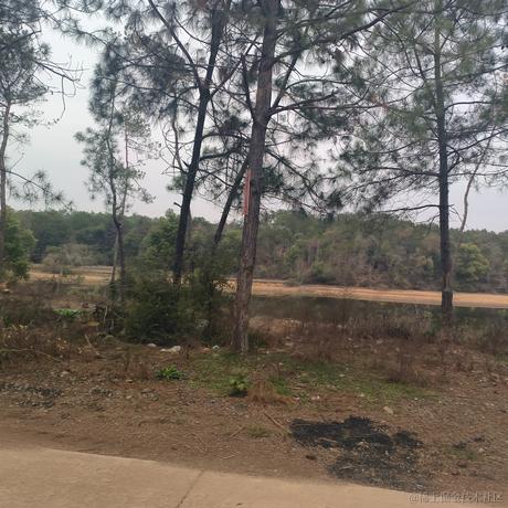 君莫笑666于2023-01-23 00:00发布的图片