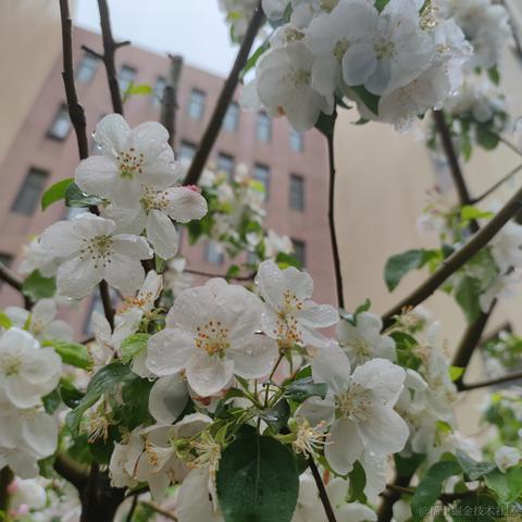 用户1008683613726于2023-05-04 20:20发布的图片