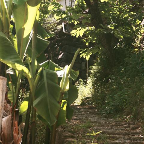 Sarah_于2024-05-22 08:43发布的图片