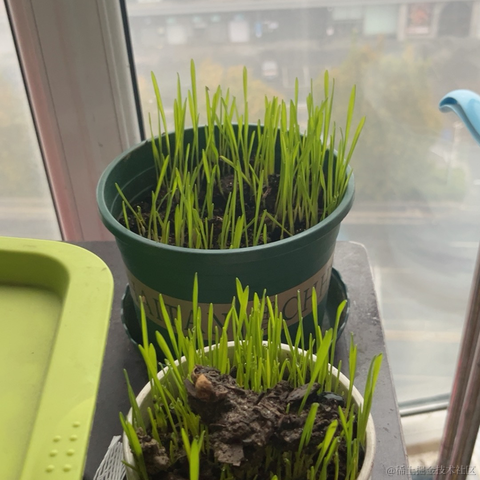 树洞robot于2022-11-12 23:46发布的图片