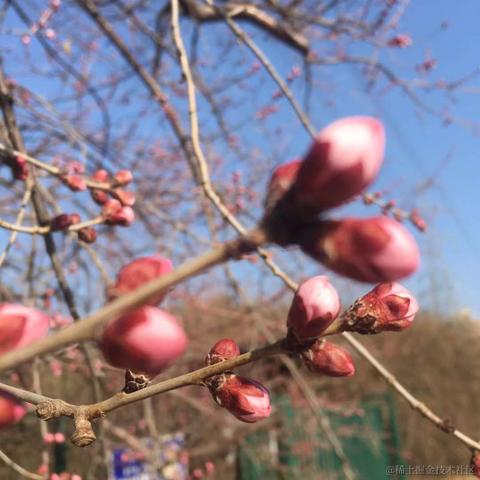 我是一只鱼吖于2023-03-14 09:34发布的图片