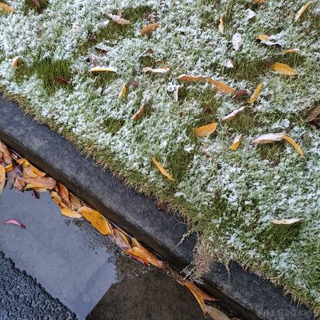 然与我与世界于2022-12-02 15:56发布的图片