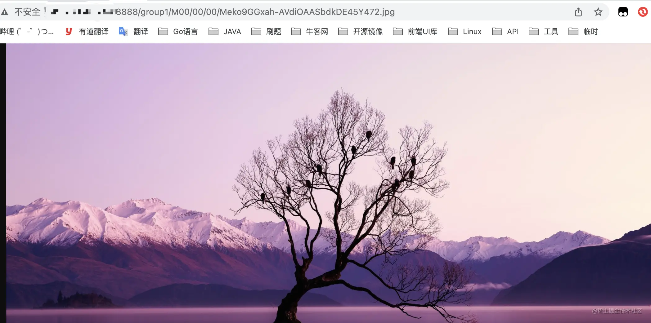 image-20211209103101268.png