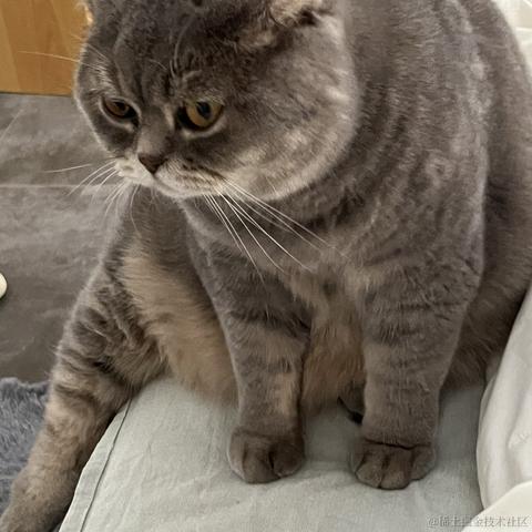 寒霜于2023-05-24 16:14发布的图片