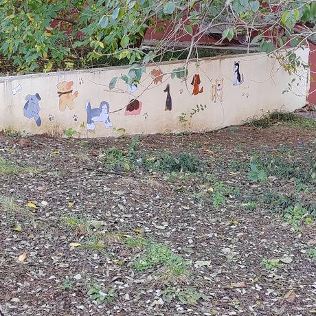 kzcserin于2022-11-25 05:29发布的图片