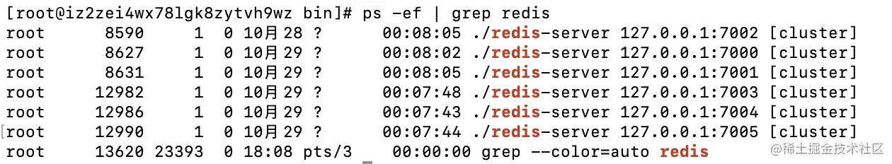 图3-3 查看redis集群进程信息