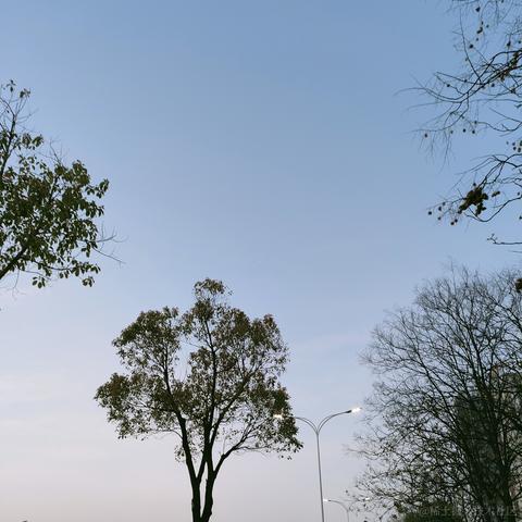 写代码阿伦于2023-03-26 06:35发布的图片