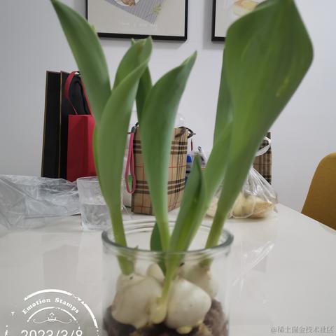 老柴不加班于2023-03-09 13:35发布的图片