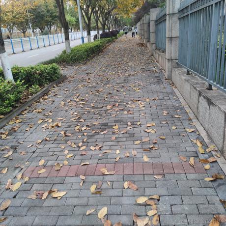 可乐只喝可乐于2023-04-23 23:58发布的图片