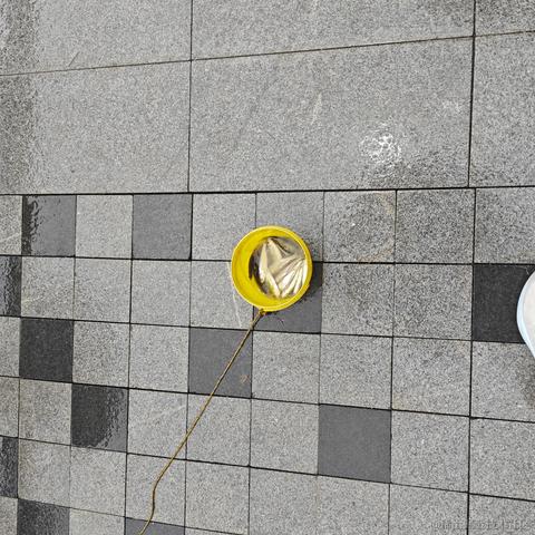 伪电气白兰地于2023-06-25 19:50发布的图片