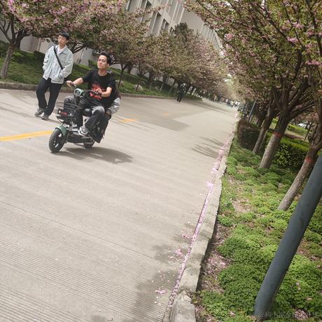 北月辰郎于2023-04-12 09:19发布的图片