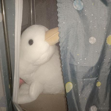 不吃青椒啊于2022-12-08 08:27发布的图片