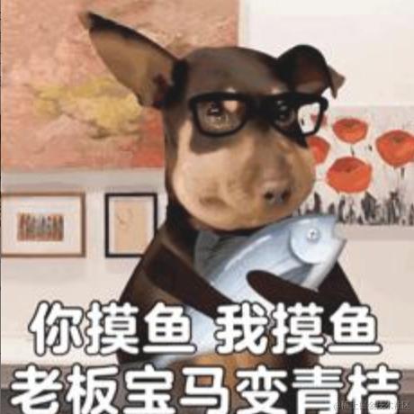 掘杯土把心埋了于2024-06-17 17:12发布的图片