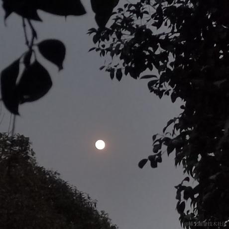 菠萝青菜豆腐汤于2022-12-07 00:36发布的图片