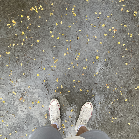 Promise_7于2021-05-21 15:48发布的图片