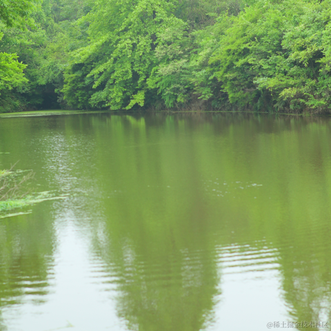 红毛丹于2022-05-02 17:57发布的图片