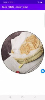 dora_rotate_cover_view.gif