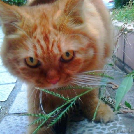 半月转转于2022-12-15 20:10发布的图片