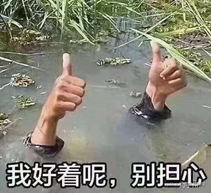人生