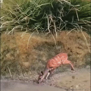 Daniel_01于2022-07-27 09:36发布的图片