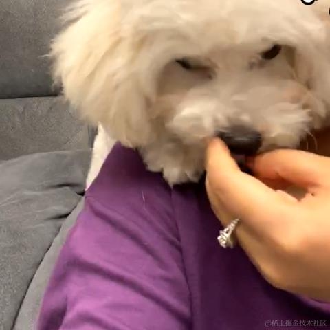 紫升于2020-08-25 20:11发布的图片