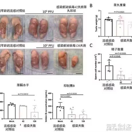 嘉晚奶贝的心怒于2022-12-21 20:08发布的图片