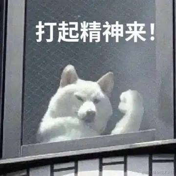 叮咚咚咚于2022-11-07 23:28发布的图片