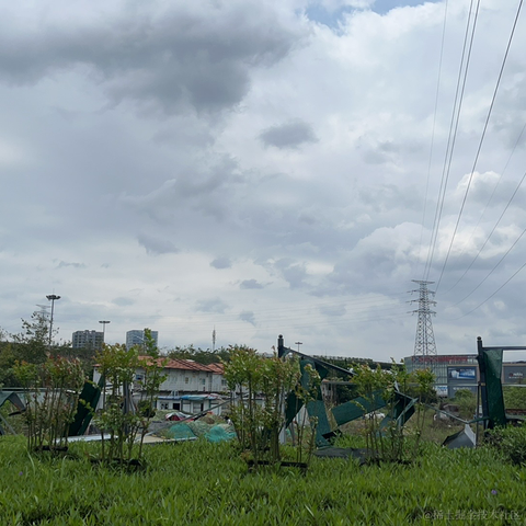 Simple_and_fond于2024-04-09 12:42发布的图片