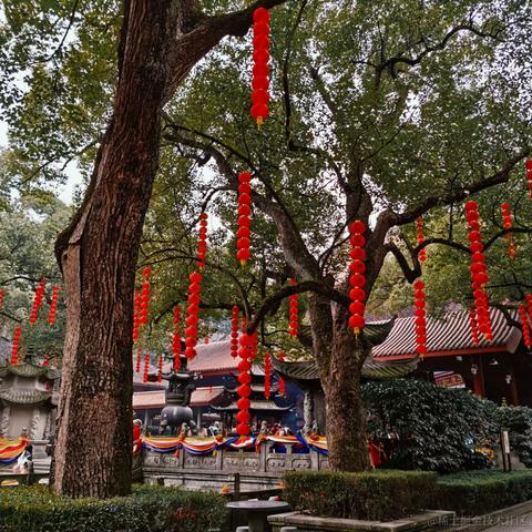 顶碗人于2022-11-25 07:45发布的图片
