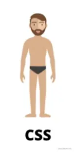 css.png