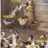 yolayola于2021-10-14 15:26发布的图片