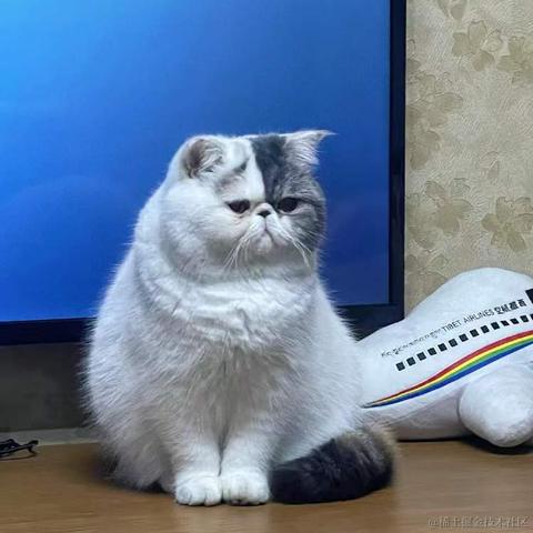 BooBoo于2021-12-27 09:38发布的图片