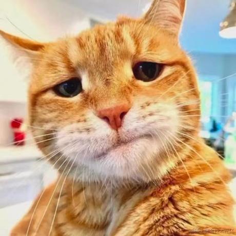 何止编程于2022-10-10 09:58发布的图片