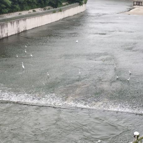 范静宇于2022-11-23 12:25发布的图片