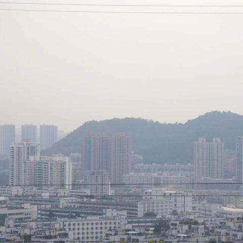折花赠汝于2023-03-20 09:53发布的图片