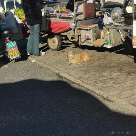 繁依Fanyi于2023-11-07 08:56发布的图片