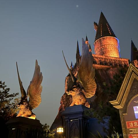 mystic于2022-11-10 17:04发布的图片