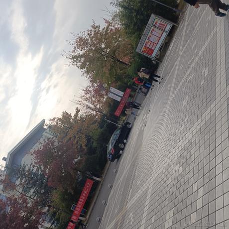 贝極星于2022-11-16 08:25发布的图片