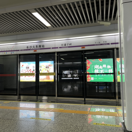 树下有只梅花鹿于2022-11-13 16:18发布的图片