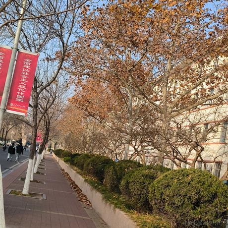 奶淇淋们有没有好好生活呢于2022-11-25 09:52发布的图片