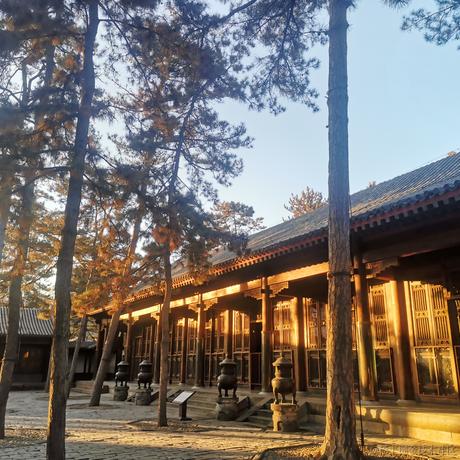 梦与爱做梦的诗于2022-11-29 14:58发布的图片