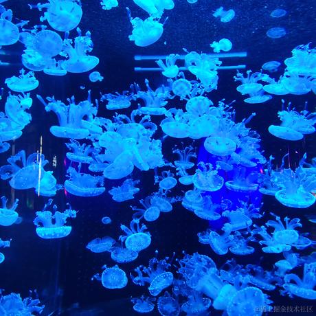 我爱asoul于2023-06-30 21:27发布的图片