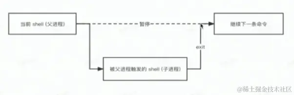 父子shell.png