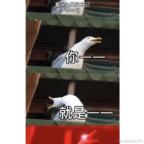 拉布拉多_于2023-05-31 15:17发布的图片