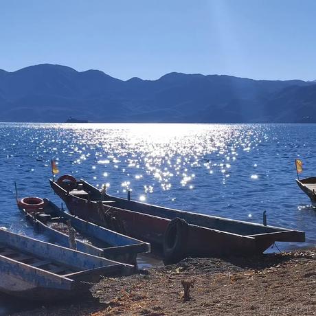 乃琳困困困于2022-12-04 18:16发布的图片